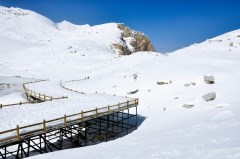 【滑雪】＜黑水奶子沟、羊茸哈德、达古冰山探奇2日＞观看臧酋猴