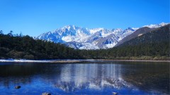 雅家情海