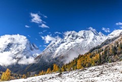 【纯游玩】＜四姑娘山巴郎山熊猫苑纯玩三日游＞蓝天 冰雪 绿草 清水 如诗如画