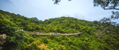 热带森林公园