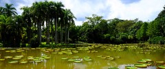 勐仑植物园