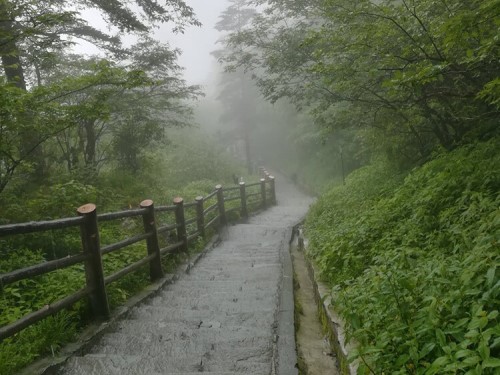 小雨峨眉一日游 不一样的风景