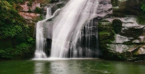 碧峰峡之游 青山绿水可爱熊猫