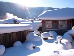 【雪域云端】＜哈尔滨·冰（雪）灯大世界·亚布力·雪乡·威虎寨·冬捕·大雪谷穿越·马拉爬犁·伏尔加庄园＞赠送铂金版自费大礼包3000元