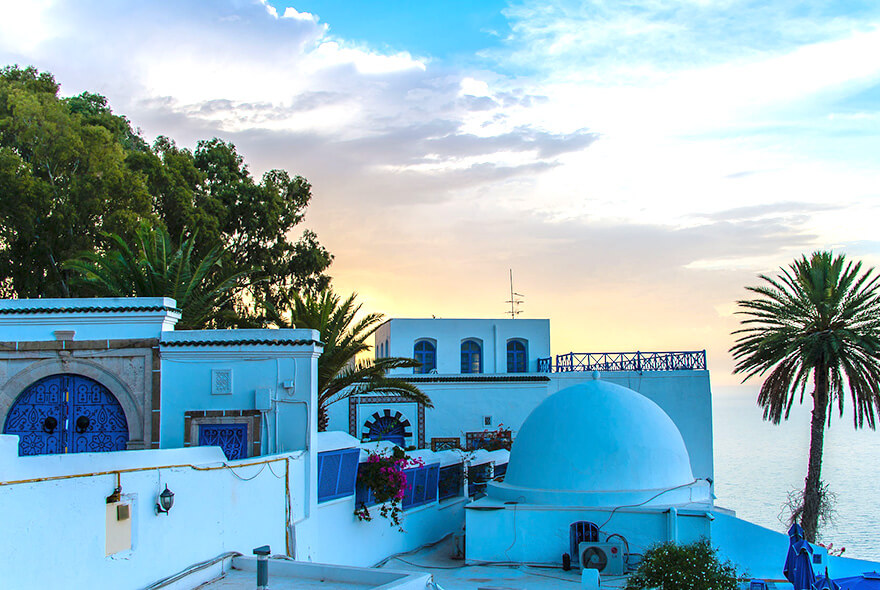 突尼斯蓝白小镇..jpg