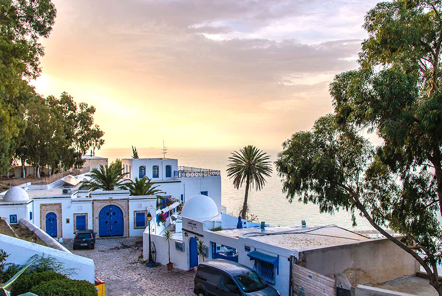 突尼斯蓝白小镇.jpg