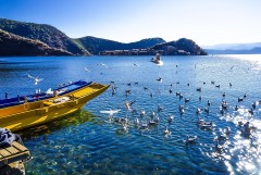 【超高性价比】西昌泸沽湖四天三晚游<经济实惠>