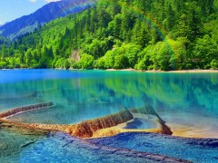 <九寨沟黄龙三日游>特惠团